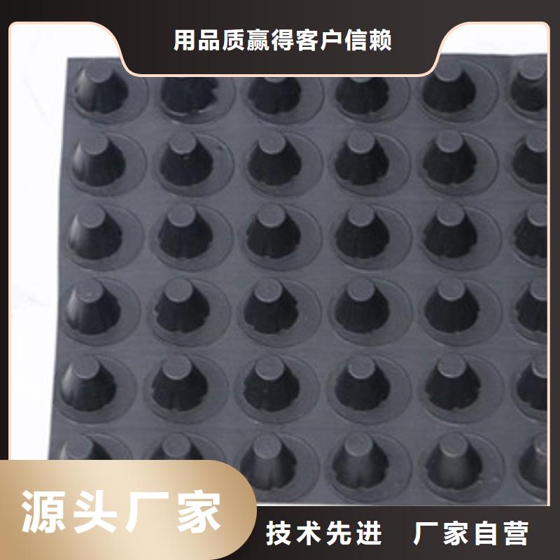 排水板蓄排水板厂家老品牌厂家