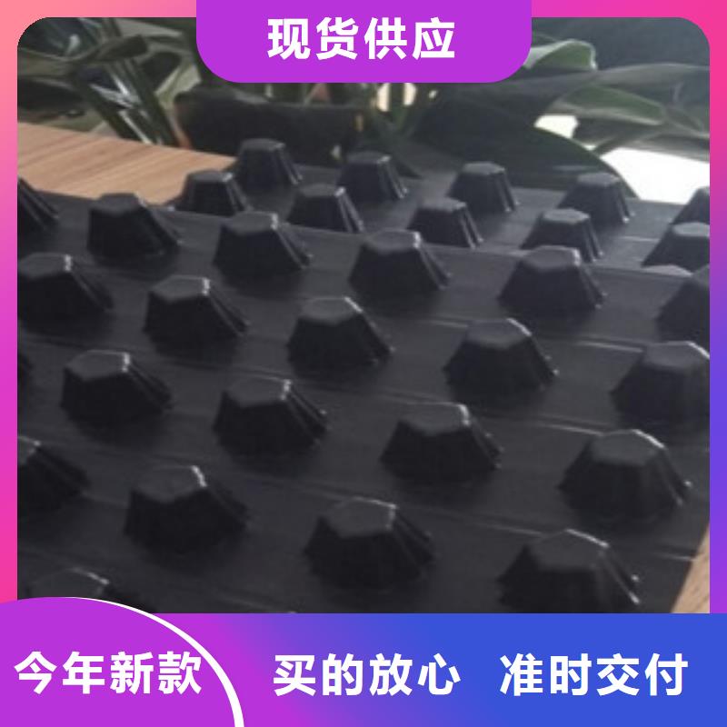 排水板蓄排水板厂家用好材做好产品