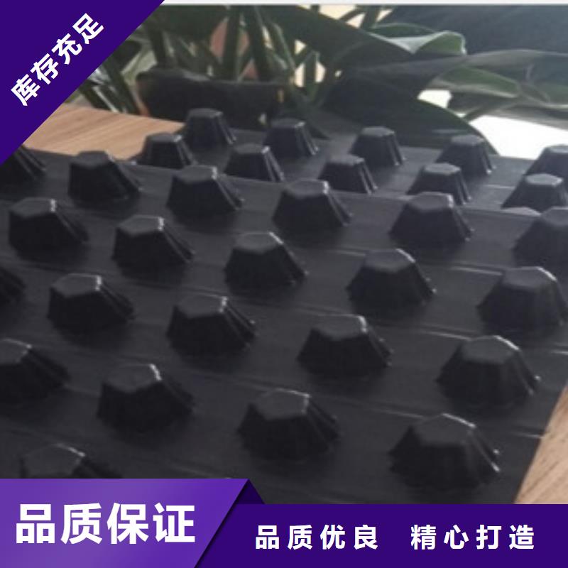 排水板-植草格厂家精工细致打造