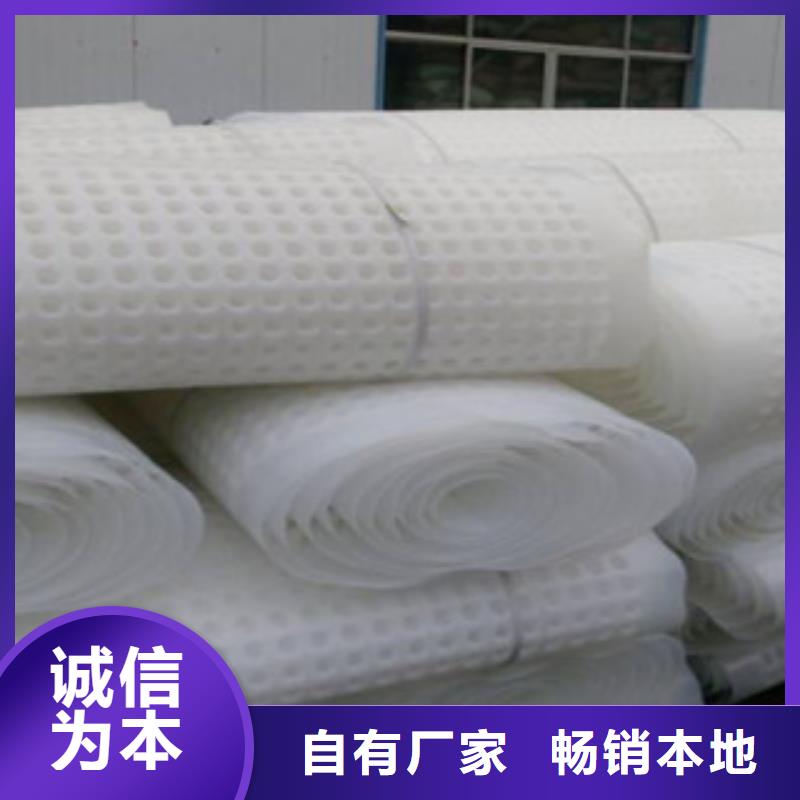 排水板蓄排水板廠家廠家直營