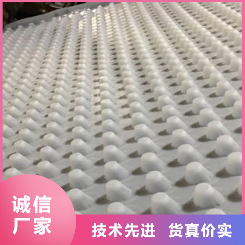 排水板蓄排水板廠家精益求精