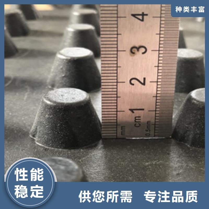 排水板,土工膜廠家供貨及時(shí)