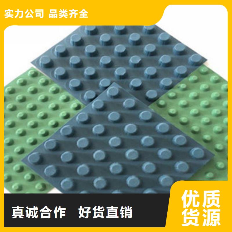 排水板_膨潤土防水毯廠家量大從優(yōu)
