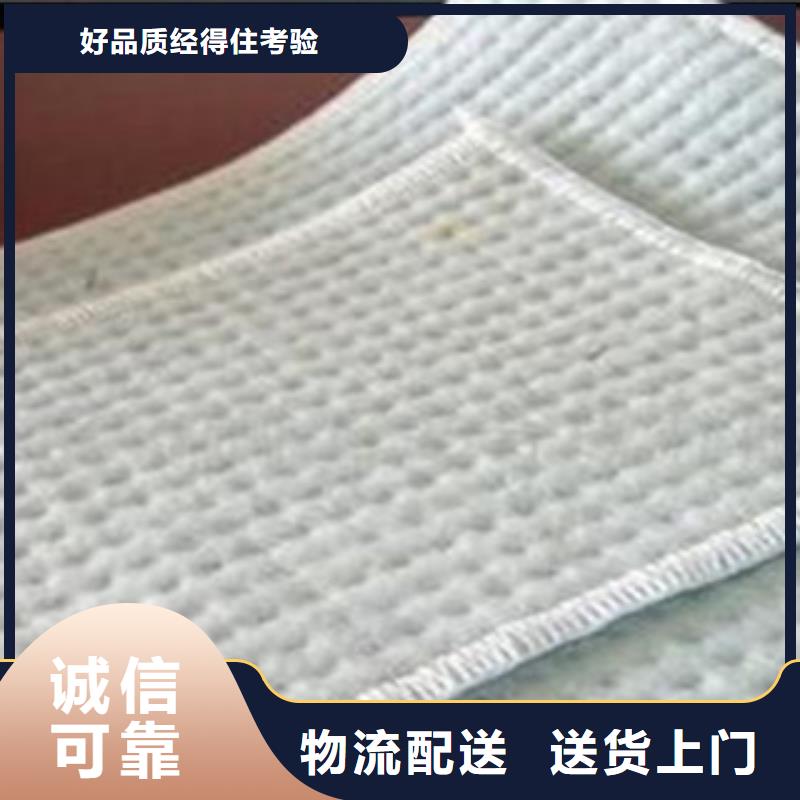防水毯土工布厂家来图来样定制
