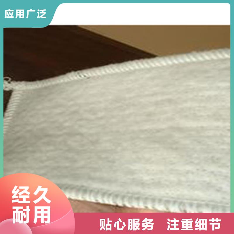 防水毯-無紡布廠家嚴格把關(guān)質(zhì)量放心
