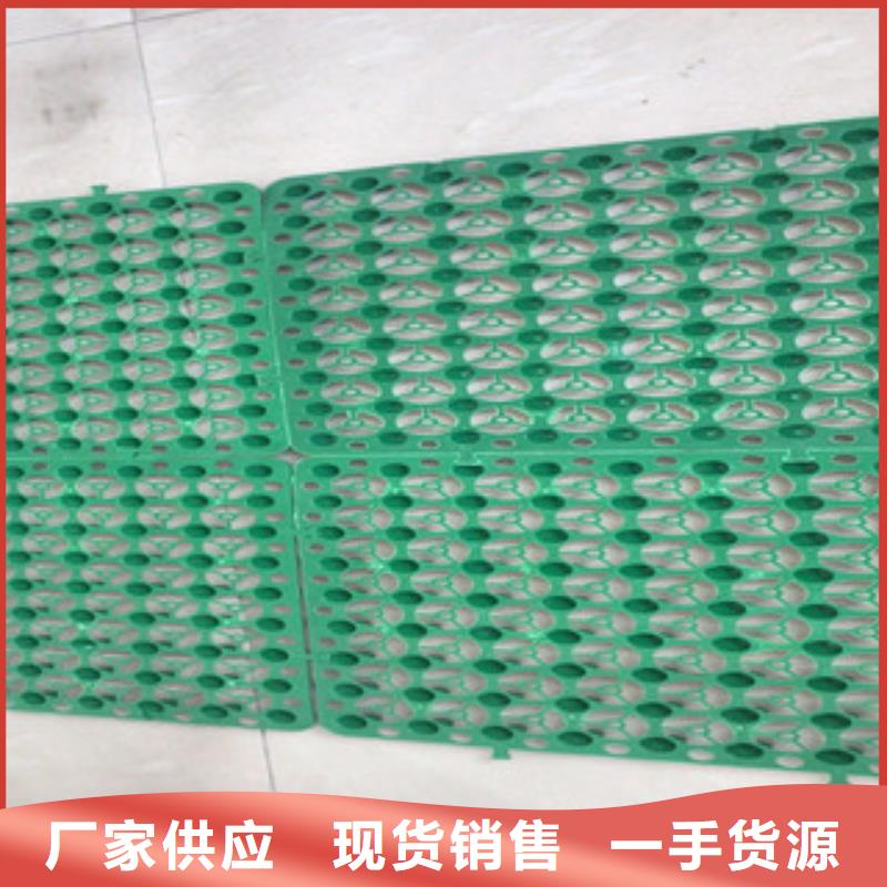 【蓄排水板】 无纺布厂家厂家直销规格多样 富泰土工材料(浙江省分公司)