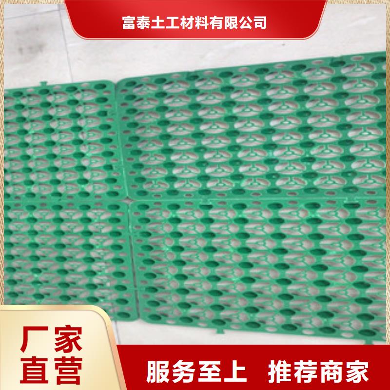 蓄排水板-【排水板厂家】的图文介绍