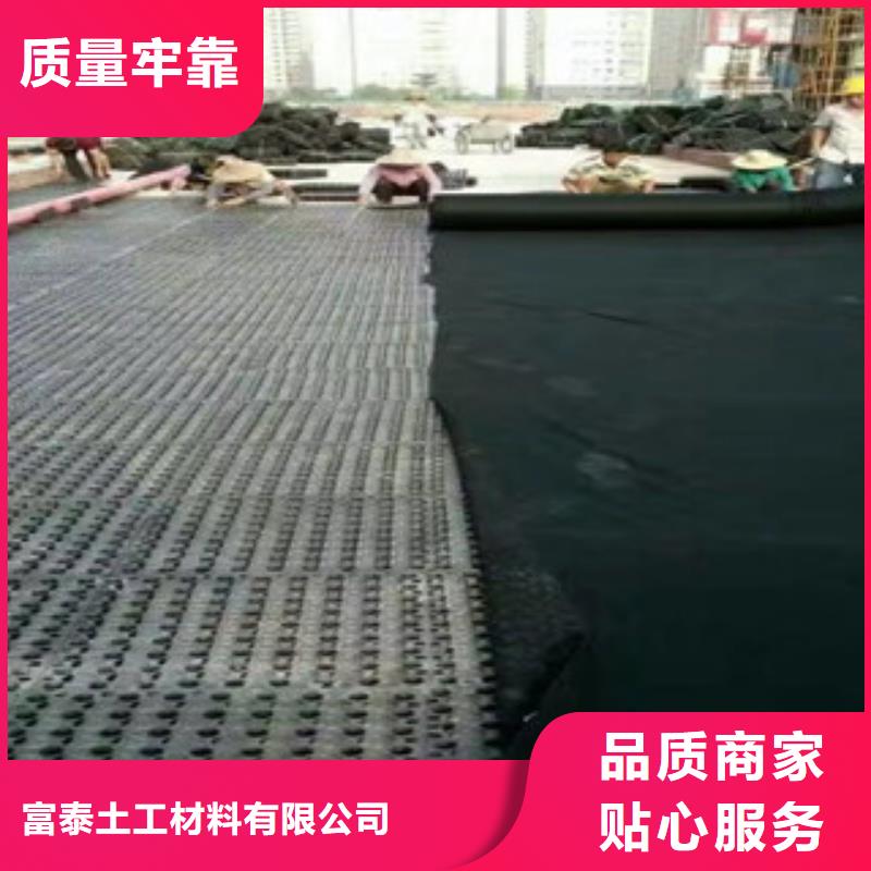蓄排水板土工布廠家廠家定制
