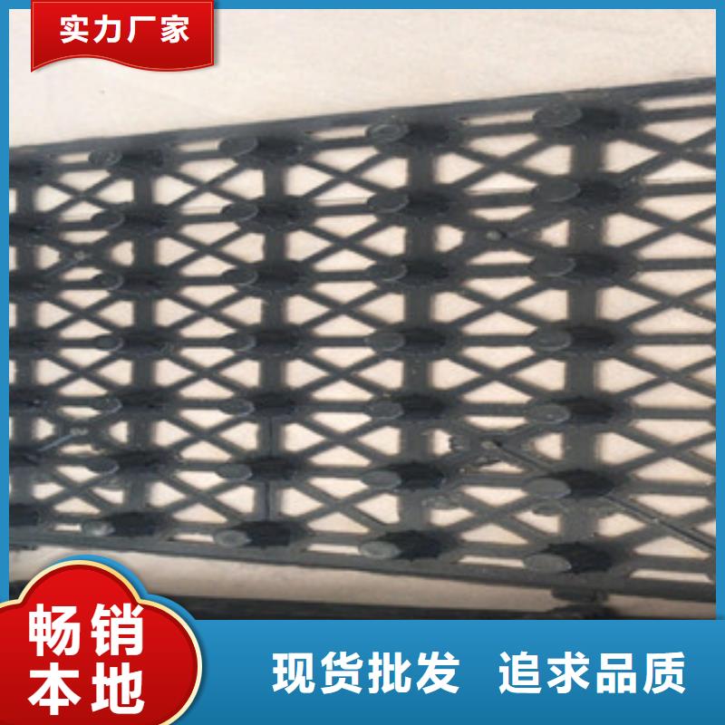 蓄排水板植草格廠家好產(chǎn)品好服務