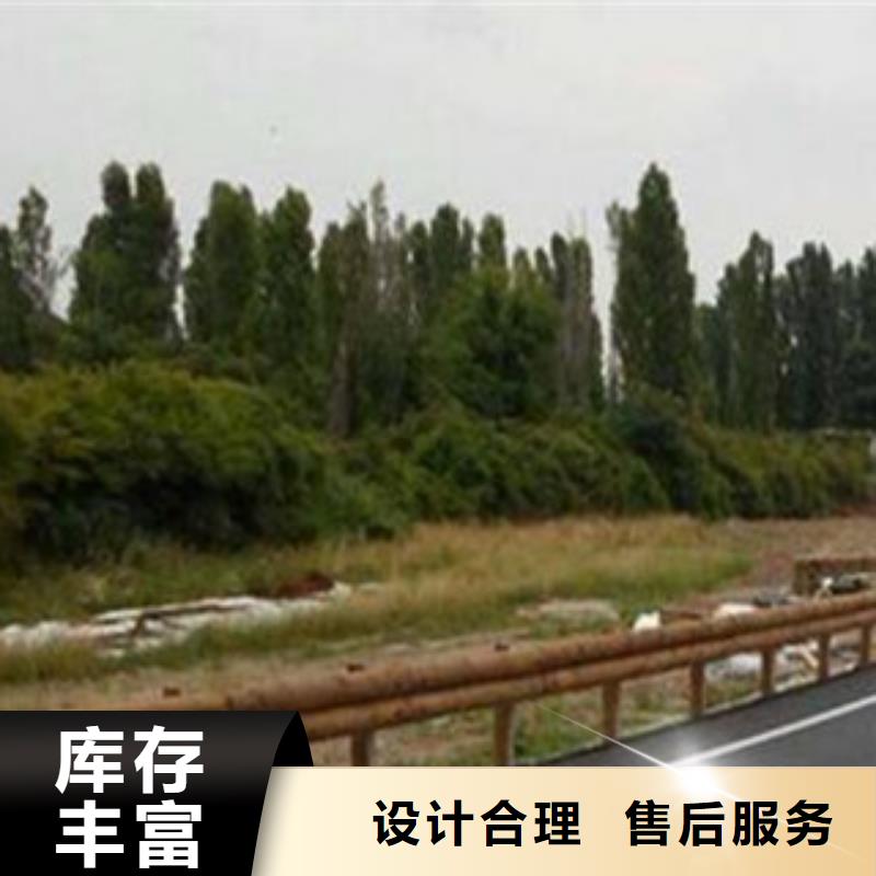 鋼背木護欄_橋梁護欄多種規(guī)格庫存充足