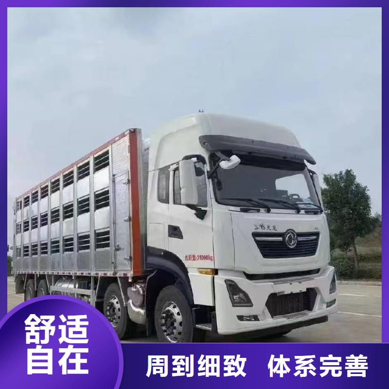 宿遷到恒溫車運輸專線直達