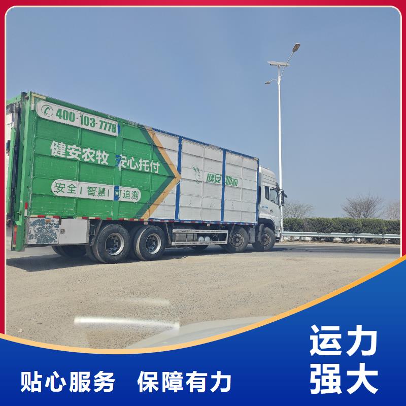 宿遷沭陽到豬牛羊運輸