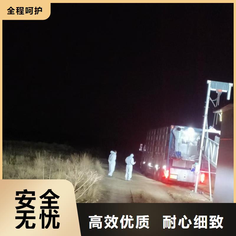 宿遷沭陽到豬牛羊運輸