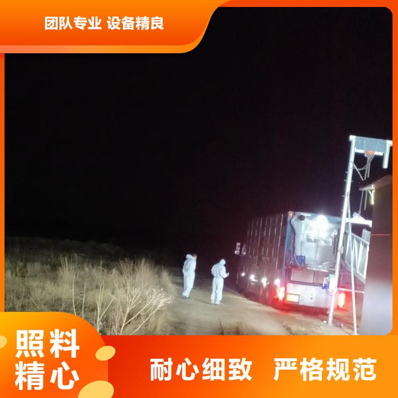 宿遷市沭陽到豬牛羊運輸照料精心