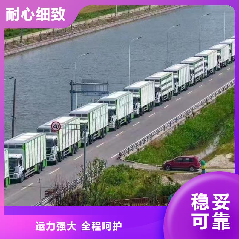 宿遷沭陽到豬牛羊運輸