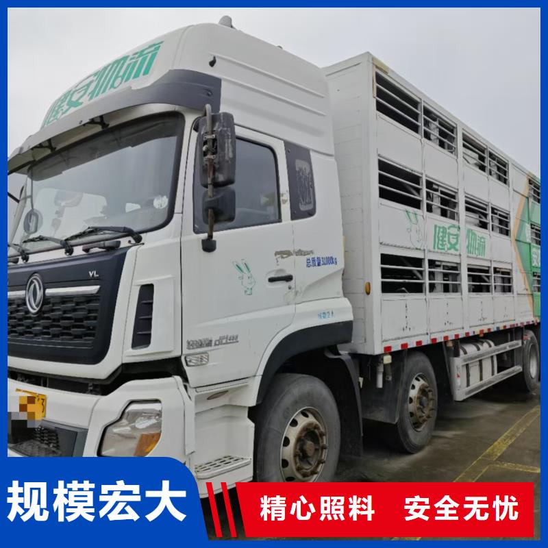 宿遷到豬籠車運輸專車專線
