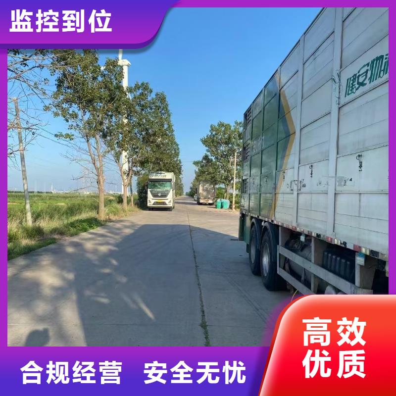 宿遷市泗洪到羊運輸專用車專業專注