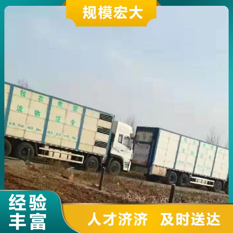 宿遷市沭陽到豬牛羊運輸照料精心