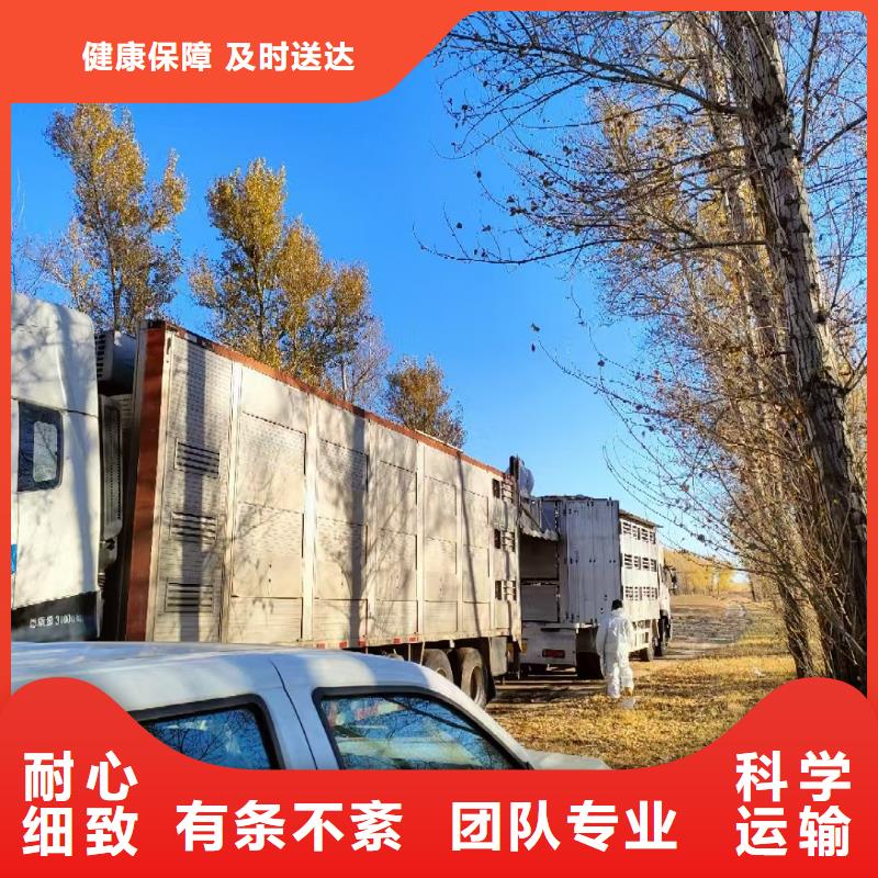 宿遷沭陽到豬牛羊運輸