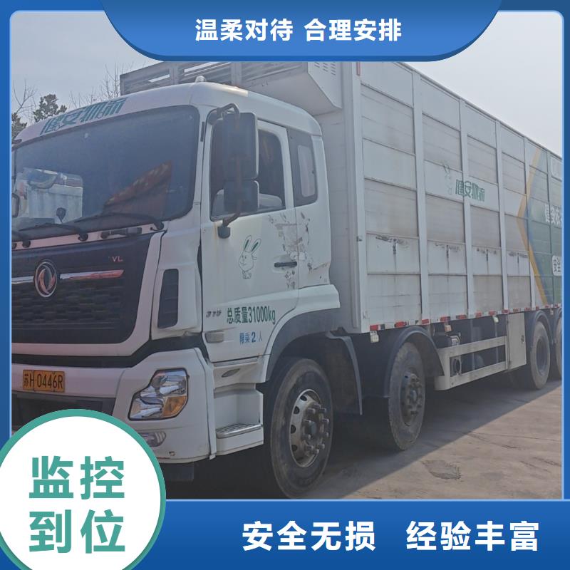 宿遷市沭陽到豬牛羊運輸照料精心