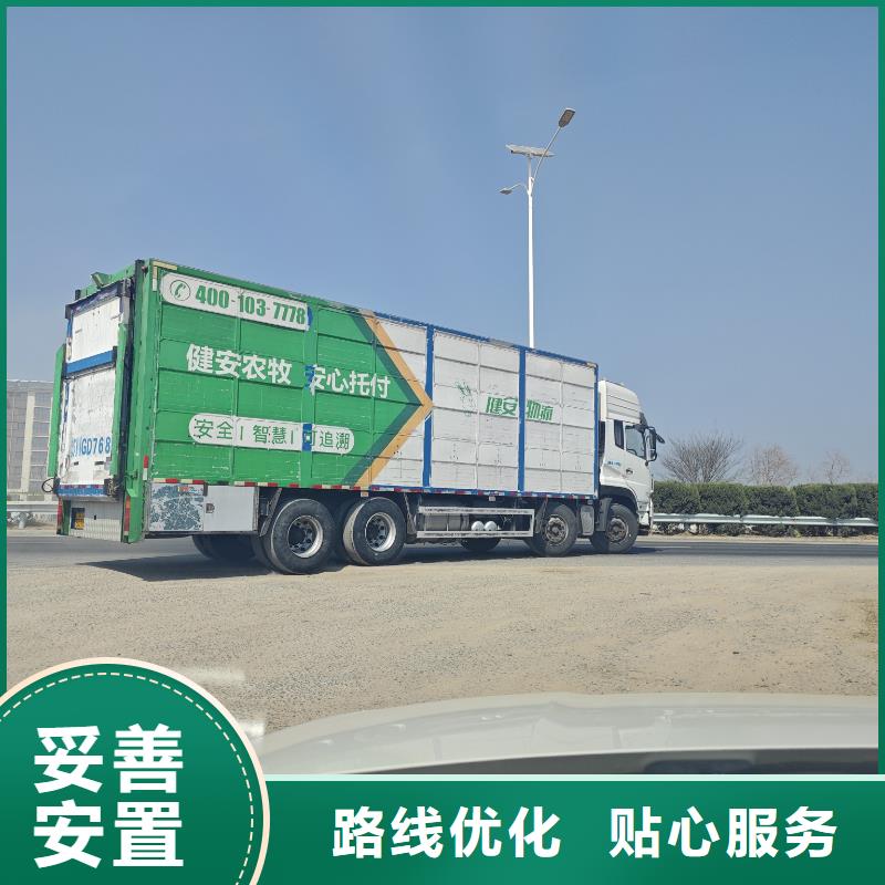 宿遷市沭陽到豬籠車運輸嚴格規范