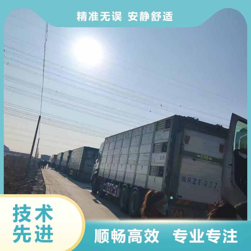 宿遷到豬籠車運輸專車專線