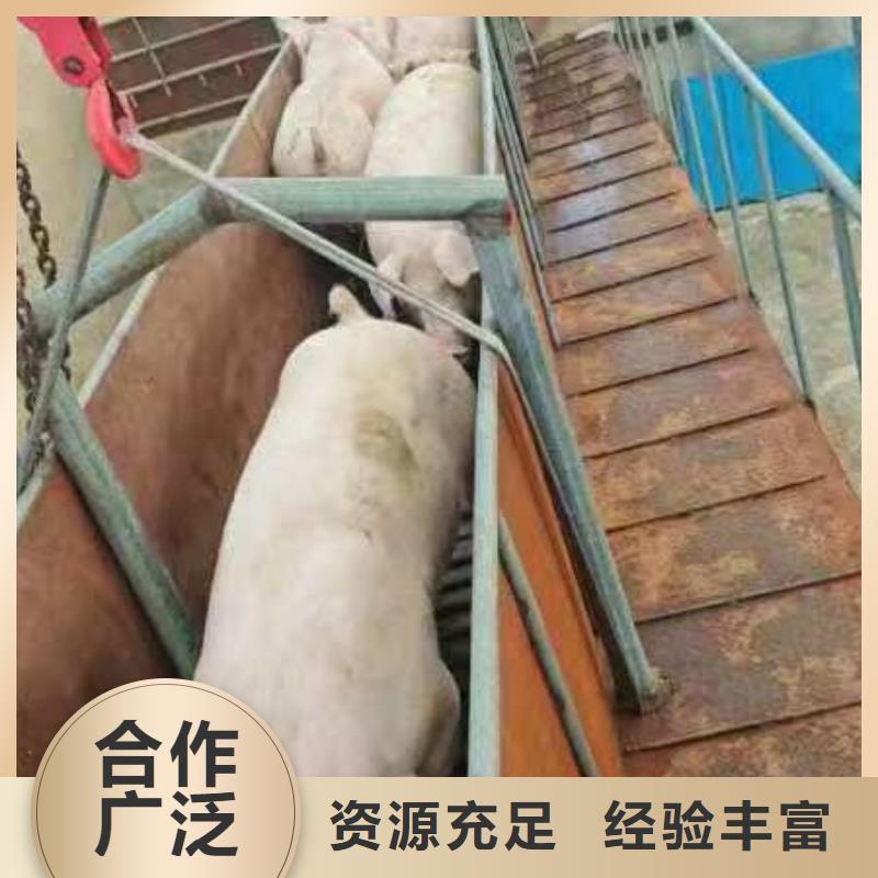宿遷到恒溫車運輸專線直達