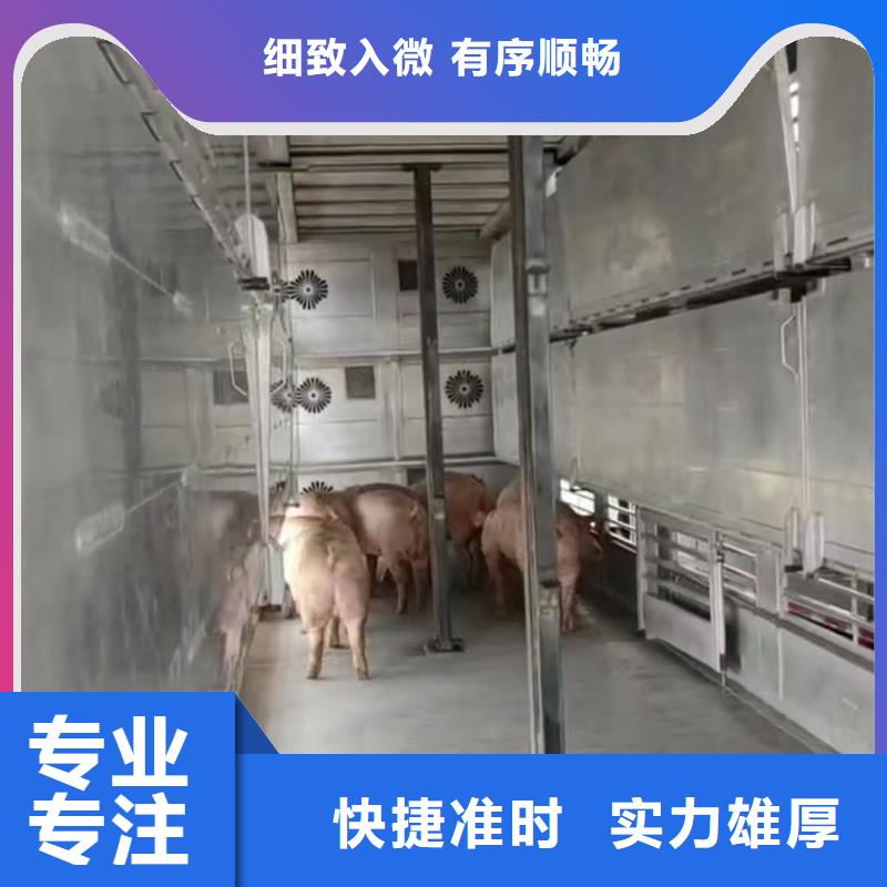 宿遷市沭陽到豬牛羊運輸照料精心