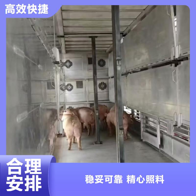 宿遷沭陽到豬牛羊運輸
