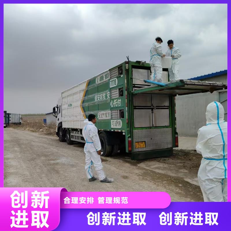 宿遷市泗洪到豬牛羊運(yùn)輸放心省心