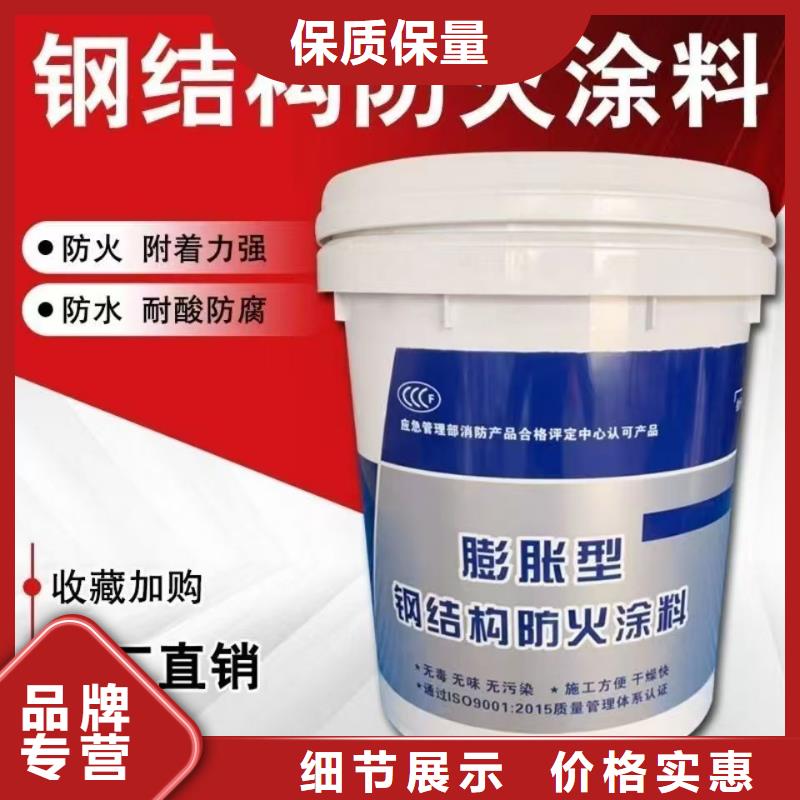 鋼結(jié)構(gòu)專(zhuān)業(yè)防火涂料誠(chéng)信商家