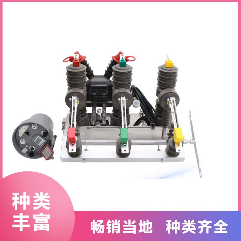 廈門ZW8M-12G/T1250-31.5真空斷路器齊全