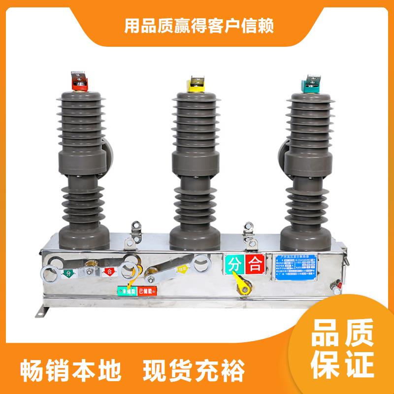 廈門ZW8M-12G/T1250-31.5真空斷路器齊全