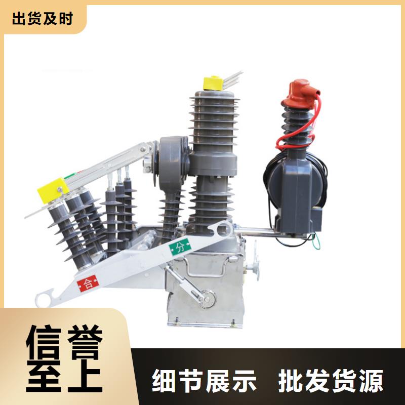 廈門ZW8M-12G/T1250-31.5真空斷路器齊全