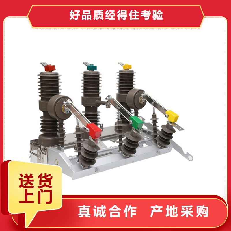 黃石ZW8-12G/T1250-31.5真空斷路器質量保證