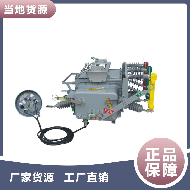 雅安ZW8M-12/630-20真空斷路器售后無憂