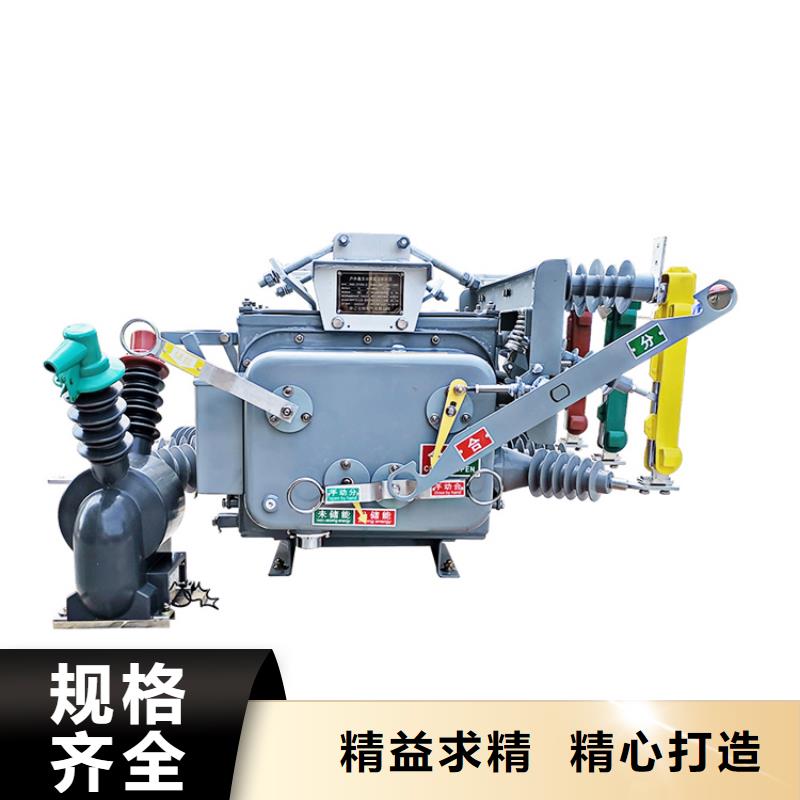 雅安ZW8M-12/630-20真空斷路器售后無憂
