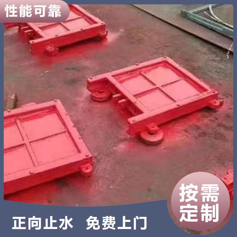 慶陽水產養殖啟閉機閘門品質保證