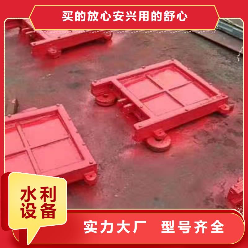 慶陽水產養殖啟閉機閘門品質保證