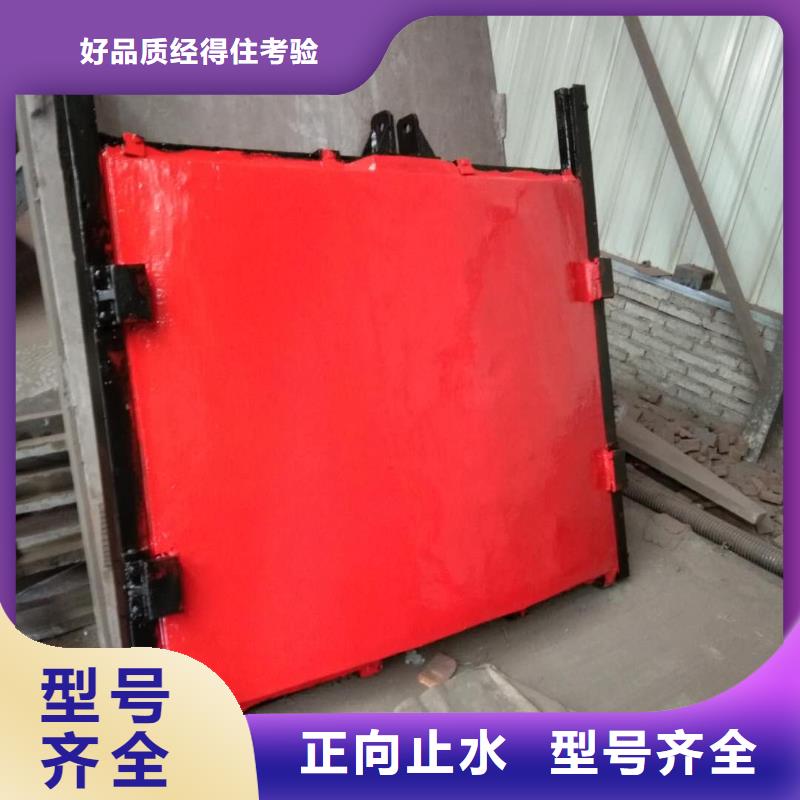 平?jīng)龅虊螁㈤]機(jī)閘門結(jié)構(gòu)合理