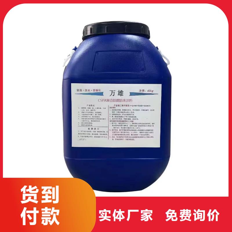 彈性重防腐特種涂料源頭工廠量大規(guī)格齊全PQE-II防水涂料