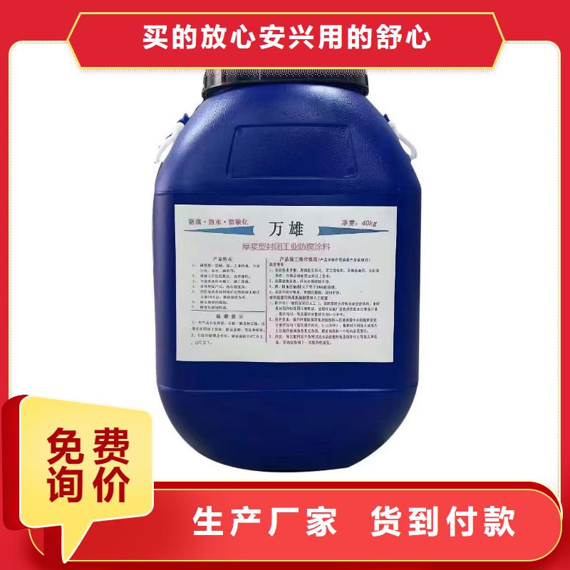 彈性重防腐特種涂料源頭工廠量大規(guī)格齊全PQE-II防水涂料