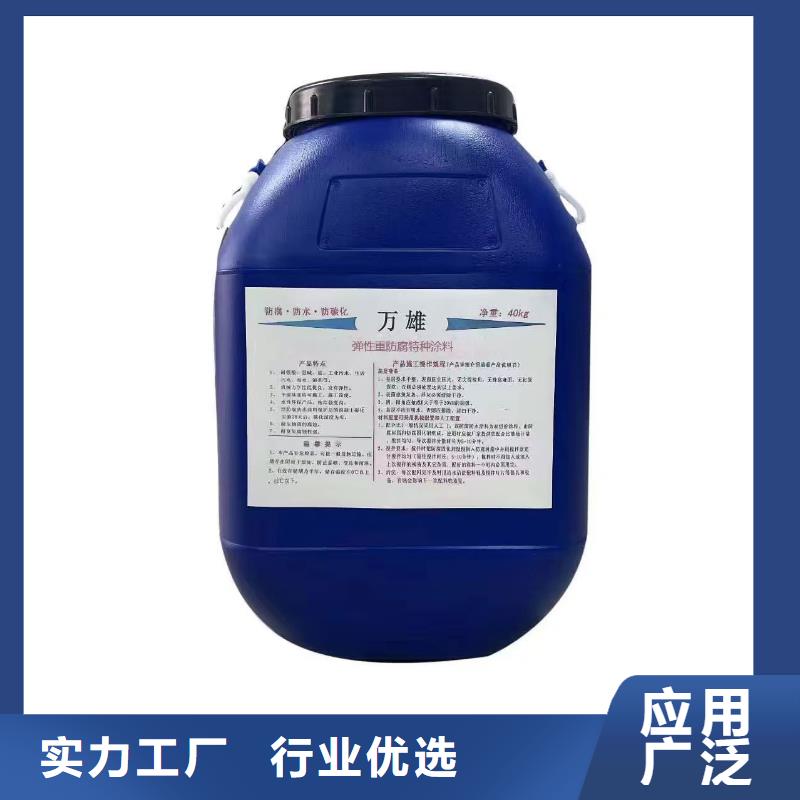 PEO水工高性能防水涂料優良材質免費寄樣彈性高分子聚合物防水防腐涂料