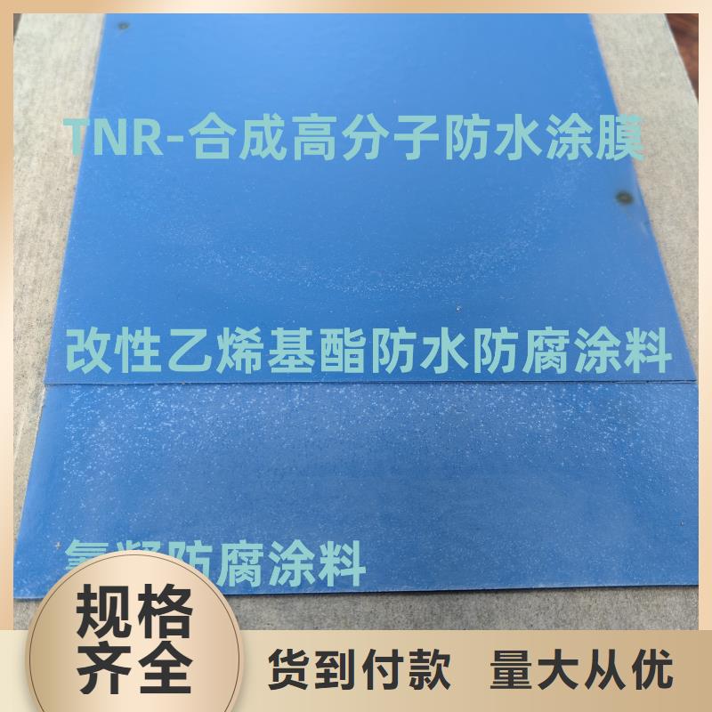 PEO水工高性能防水涂料優良材質免費寄樣彈性高分子聚合物防水防腐涂料
