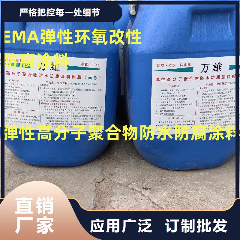 PEO氟碳防臭氧防腐涂料質量安心行業優選EMA彈性環氧改性防腐涂料