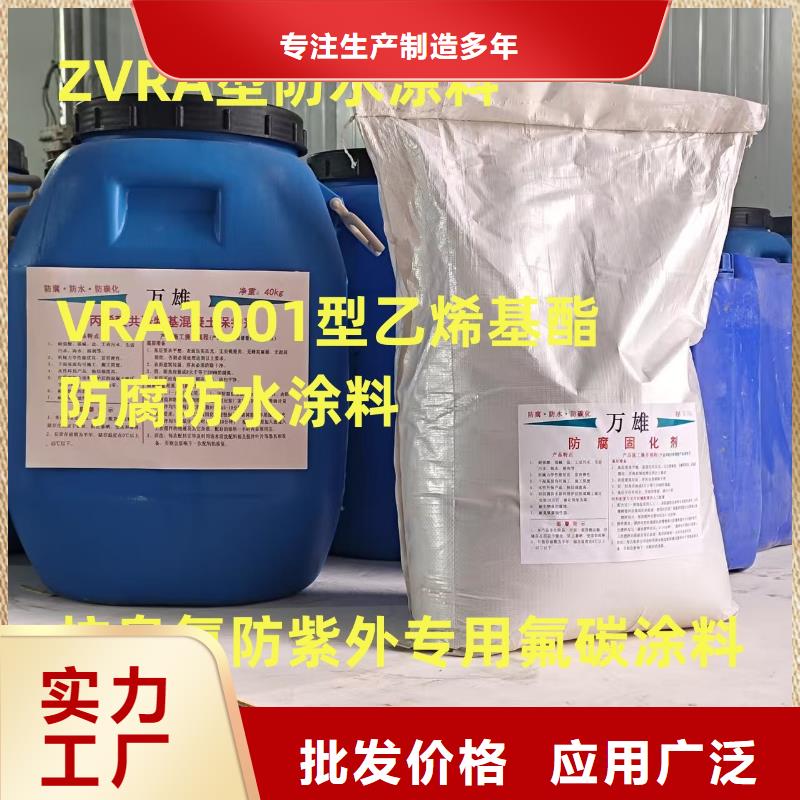 ES污水池專用防腐涂料工廠直營免費寄樣SWP路橋防水涂料
