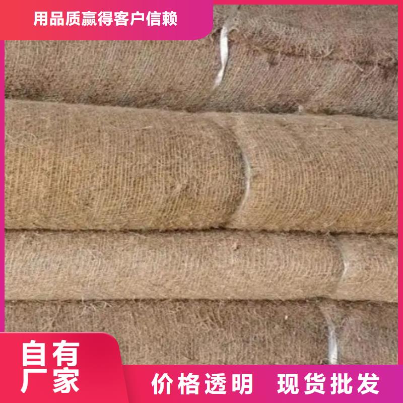 绿化护坡植草毯好厂家有担当
