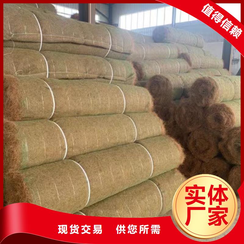 鑫海河道植物纤维毯多种规格可选现货供应