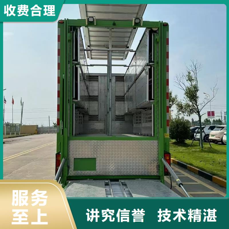 宿迁到猪只运输专用车-专用车质量保证