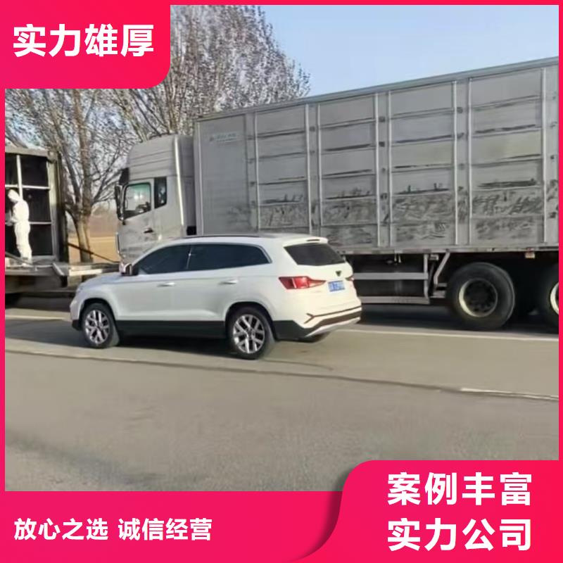 常州到羊运输-专用车服务周到